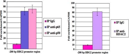 Figure 2. Real-time PCR analysis on ChIP samples from K562 cells showing that NF-kB and HDAC2 interact with the HBG2 proximal promoter region.