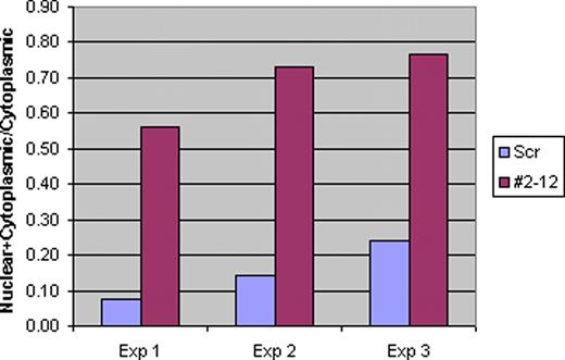 Fig. 1. At 72h, the SBDS knockdown clone (labeled #2-12) transfected with RPL29-GFP had more cells with nuclear/nucleolar localization than the scrambled control clone similarly transfected. For each experiment, a total of 200 cells were counted at 72h to determine the percentage of cells with localization of RPL29-GFP. Thus, the ordinate axis represents the number of cells staining in both nucleus and cytoplasm divided by the number staining in the cytoplasm only.
