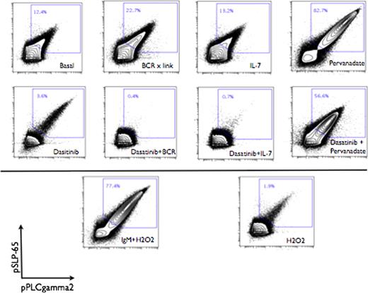 Figure 2. Proteins proximal to the preBCR are modulated in preB ALL.