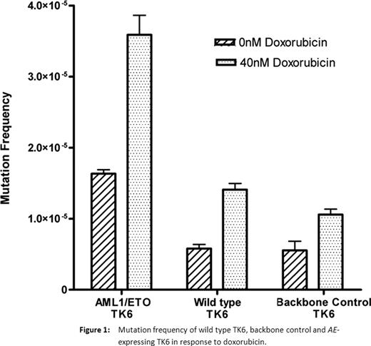 Figure 1. Mutation frequency of wild type TK6, backbone control and AE-expressing TK6 in response to doxorubicin.