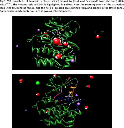Fig. 1. MD snapshots of Imatinib (colored sticks) bound to (top) and “escaped” from (bottom) SCTABLIV304D. The mutant residue D304 is highlighted in yellow. Note the rearrangement of the activation loop, the SH3 binding region, and the helix C, colored blue, spring green, and orange in the lower panel. Some waters and counterions are shown as colored spheres.
