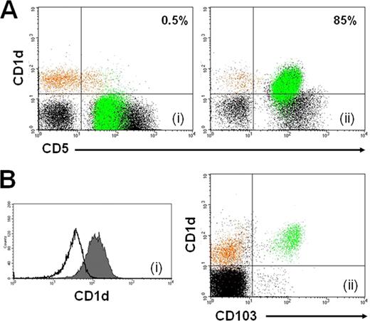 Figure 2. CD1d expression in normal and clonal B-cells. (A) CD1d expression in a B-CLL (i) and a MCL (ii) patient. Normal B-cells are shown in orange and CD5+ neoplastic lymphocytes in green. (B) Stronger expression of CD1d in HCL (filled histogram in i, green color in ii) compared to SLVL (open histogram, i) and normal B cells (orange color, ii).