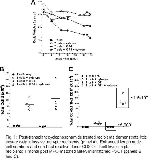 Fig. 1:. Post-transplant cyclophosphamide treated recipients demonstrate little severe weight loss vs. non-ptc recipients (panel A). Enhanced lymph node cell numbers and non-host reactive donor CD8 OT-I cell levels in ptc recipients 1 month post MHC-matched MiHA-mismatched HSCT (panels B and C).