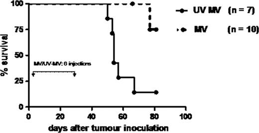 Figure 2. Prolonged survival of disseminated Nalm-6 SCID xenografts after intravenous injection of MV.