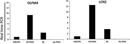 Figure 1. mRNA expression profiles for OLFM4 and LCN2 in populations enriched in myeloblasts/promyelocytes (MB/PM), myelocytes/metamyelocytes (MY/MM), banded cells/segmented cells (BC) and peripheral blood neutrophils (pb-PMN) normalized to ACTB.