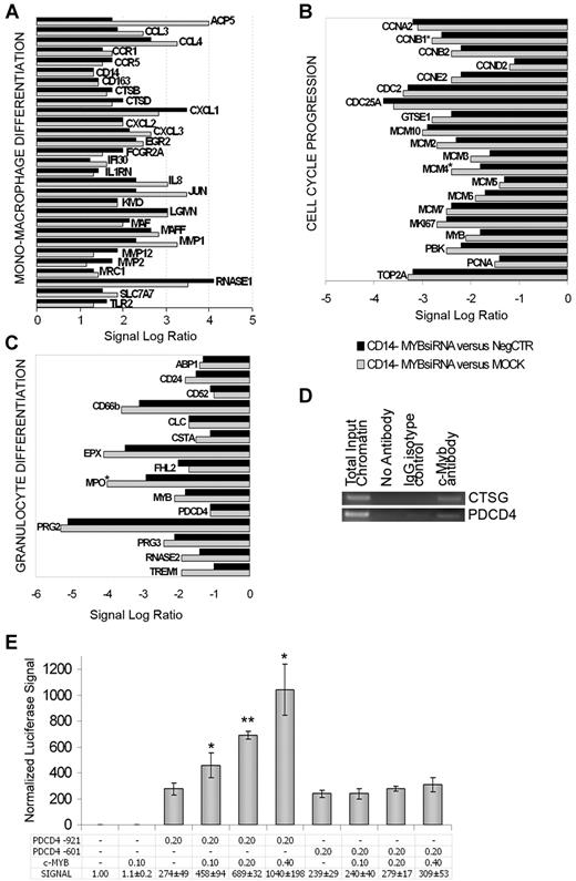 Figure 6. c-myb silencing effects on CD14− myeloblasts gene expression profile and validation of PDCD4 as c-myb direct target gene. Microarrays data of (A) mono-macrophage, (B) cell-cycle–related, and (C) granulocyte genes. * indicates genes already reported as c-myb targets. (D) PDCD4 promoter-specific PCR performed in a representative ChIP experiment. CTSG promoter-specific PCR is shown as a positive control for immunoprecipitation. ChIP and PCRs were performed in triplicate. (E) c-myb transactivation of PDCD4 promoter-driven luciferase expression. The amounts (in micrograms) of cotransfected plasmids are reported. Luciferase levels (mean ± 2 SEM;n = 3) are normalized by setting the empty pXP1/pCMV6XL5 vectors-transfected sample as = 1. Error bars represent SD. *P ≤ .05 and **P ≤ .01 vs pXP1PDCD4-921+empty pCMV6XL5-transfected sample. n = number of experiments.