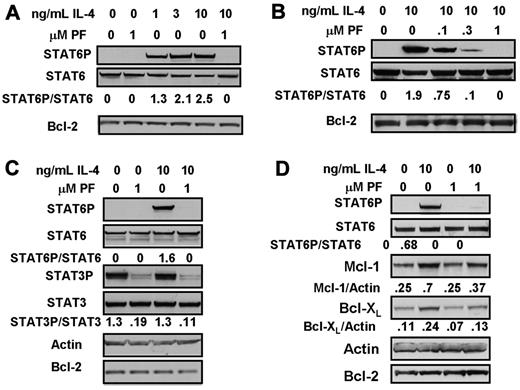 Figure 1. Inhibition of IL-4-induced STAT6 activation by treatment of CLL cells with PF-956980. (A-C) CLL cells were incubated for 20 minutes with the indicated concentrations of IL-4. When present, 1μM PF-956980 (abbreviated as PF) was added to cultures 20 minutes before the addition of IL-4. Protein lysates were analyzed by Western blotting using the antibodies indicated. In this and all figures, the densitometric band intensities determined using phosphorylation state-specific antibodies were normalized with respect to the intensities obtained by application of the corresponding phosphorylation state-independent antibody to a duplicate blot. The normalized band intensities are shown numerically. (D) CLL cells were incubated in the presence of the pan-caspase inhitor, Z-VAD-FMK (100μM), and with additions of IL-4 and/or PF-956980, as indicated. Lysates were prepared for Western blot analysis after 18-hour incubation. The isolates used here were from patients CLL1 (A), CLL 12 (B), CLL 19 (C), and CLL 28 (D). The data in each panel are representative of experiments carried out using isolates from 4 to 7 patients.