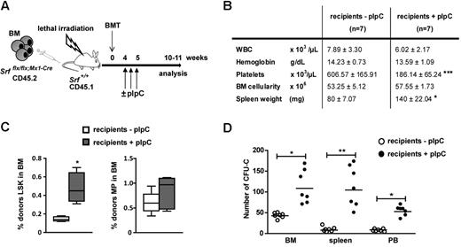 Figure 2. Analysis of the cell-intrinsic effects of Srf deletion. (A) Experimental outline of transplantation experiments. Srfflx/flx;Mx1-Cre whole BM cells (CD45.2, 4 × 106 totals) were transplanted into 6-week-old lethally irradiated wild-type littermate recipients (CD45.1). The recipients were treated or not with pIpC 4 weeks postengraftment to induce Srf-deletion exclusively in hematopoietic cells and not in BM stromal cells. Mice were analyzed 5 weeks after Cre induction. (B) Table of the hematologic parameters, BM cellularity, and spleen weight. Values shown are mean ± SEM (n = 7 per group, ***P < .001 by Mann-Whitney test). (C) Cell autonomous expansion of the LSK and MP compartments in recipient mice treated or not with pIpC. (n = 7 per group, *P < .05). (D) BM (2 × 104), spleen (2 × 105) and PB (5 × 105) cells of recipient mice treated or not with pIpC were plated in methylcellulose medium and scored for CFU-Cs after 7 days (n = 7 per group, *P < .05 and **P < .01).