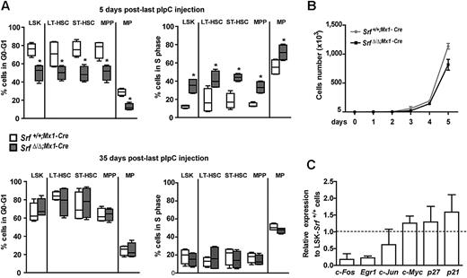 Figure 3. Loss of Srf does not induce persistent changes in stem and progenitor cell cycle. (A) BrdU incorporation following a 24 hours in vivo pulse in Srf+/+;Mx1-Cre and SrfΔ/Δ;Mx1-Cre mice. Cell cycle indices (G0-G1 and S) of BM LSKs, LT-HSCs, ST-HSCs, MPPs, and MPs are shown for each genotype at 5 (top) and 35 (bottom) days after pIpC injection (n = 4 mice per genotype *P < .05 by Mann-Whitney test). Box-and-whisker plots show medians, quartiles, highest and lowest values. (B) In vitro growth of LSKs isolated from Srf+/+;Mx1-Cre and SrfΔ/Δ;Mx1-Cre mice 35 days after pIpC treatment. Values shown are mean ± SEM (n = 3 per genotype). (C) qRT-PCR analysis of cell-cycle regulators expression in SrfΔ/Δ;Mx1-Cre LSKs. Expression levels were normalized to Gapdh, and results were expressed relative to the level of expression measured in Srf+/+;Mx1-Cre LSKs (set to 1). Values shown are mean ± SEM from 3 independent experiments.