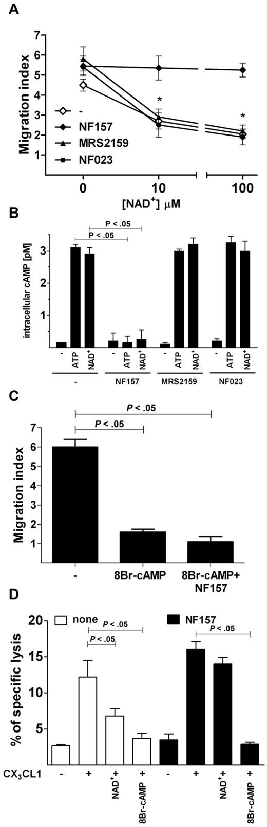 Figure 6. P2Y11R activation increases cAMPi and mediates ATP-induced inhibition of CX3CL1-elicited chemotaxis and cytotoxicity of NK cells. (A) Effect of NAD+ on CX3CL1-induced NK-cell chemotaxis. Cells were preincubated with or without the indicated inhibitors, stimulated with 10 ng/mL CX3CL1 alone in the presence of the indicated concentrations of NAD+ for 60 minutes and cell migration measured as indicated in “Migration assays.” *P < .05, MRS2159 or NF023 versus NF157. (B) Induction of cAMPi by ATP and NAD+. NK cells were incubated at 37°C for 15 minutes with 100μM ATP or NAD+ in the presence or absence of the indicated inhibitors, and concentration of cAMPi was measured as described in “Intracellular cAMP quantification.” (C) Inhibition of CX3CL1-dependent NK-cell migration by 8Br-cAMP. Chemotaxis was stimulated by 10 ng/mL CX3CL1 alone or in the presence of 100μM 8Br-cAMP in NK cells pretreated or not for 1 hour with 100μM NF157. (D) NAD+ and 8Br-cAMP inhibit CX3CL1-elicited NK cytotoxicity against HUVECs. Cells were preincubated with (filled bars) or without (open bars) 100μM NF157 and stimulated with 10 ng/mL CX3CL1 alone in the presence of 100μM NAD+ or 100μM 8Br-cAMP and used for cytotoxicity assay against K562 cells. (A-C) Data are mean ± SD of triplicate cultures from 3 independent experiments. (D) Data are mean ± SD of sextuplicate cultures from 3 independent experiments. All P values were calculated performing Student t test for paired samples.
