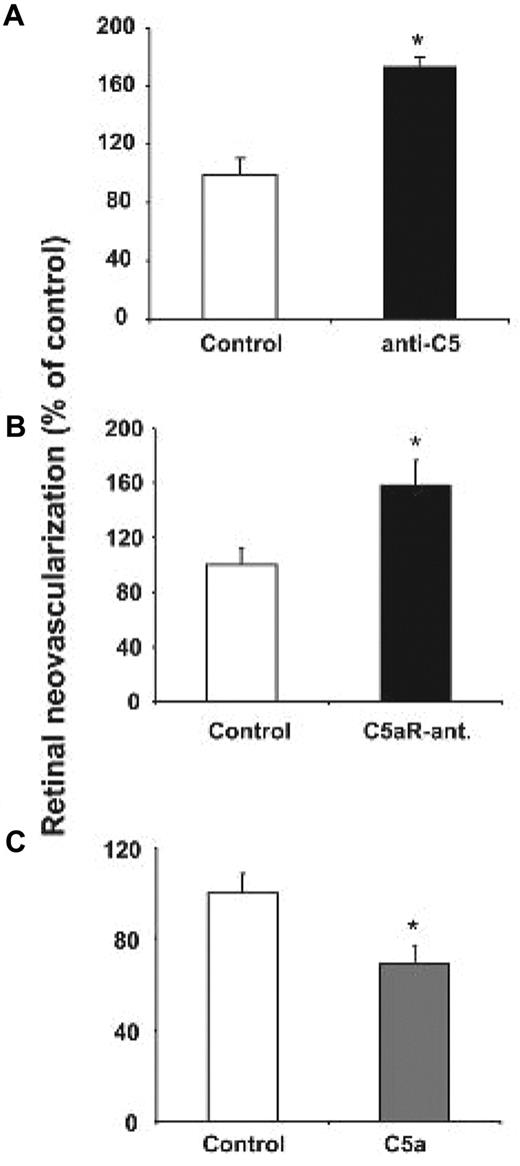 Figure 3. The role of C5a and C5aR in pathological angiogenesis in ROP. (A) WT mice subjected to the ROP model were treated on day p12.5 with an i.p. injection of anti-C5 or an isotype control antibody. Data are mean ± SEM (n = 6-7 pups per group) and are shown as percentage of control. Number of epiretinal nuclei in control treated mice represents the 100% value. *P < .01. (B) WT mice were subjected to the ROP model and were treated from day p12-16 with daily intraperitoneal injections of C5a receptor antagonist (C5aR-ant.) or control antagonist. Data are mean ± SEM (n = 17-19 pups per group) and are shown as percentage of control. Number of epiretinal nuclei in control treated mice represents the 100% value. *P < .05. (C) WT mice subjected to the ROP model were treated from p12-16 with daily intraperitoneal injections of C5a or vehicle control. Data are mean ± SEM (n = 17 pups per group) and are shown as percentage of control. Number of epiretinal nuclei in control treated mice represents the 100% value. *P < .05.