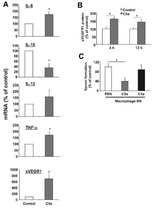 Figure 4. Macrophages stimulated with C5a display an antiangiogenic phenotype. (A) Isolated primary bone marrow derived mouse macrophages treated with C5a showed a polarization toward an antiangiogenic phenotype as verified by significantly increased mRNA levels of IL-6, TNF-α, and soluble VEGFR-1 and significantly reduced levels of IL-10 mRNA using quantitative real-time PCR. IL-12 mRNA levels were not significantly changed by C5a treatment. The respective mRNA was normalized against actin. Data are mean ± SEM (n = 4) and are shown as percentage of control. mRNA of macrophages treated with vehicle control represents the 100% value. *P < .05. (B) Mouse macrophages were incubated with C5a (100nM) or vehicle control for 4 or 12 hours and supernatants were analyzed for sVEGFR1 by ELISA. Data are mean ± SEM (n = 3-4) and are shown as percentage of control. Detected sVEGFR1 in supernatant of control treated macrophages represents the 100% value. *P < .05. (C) HUVEC were treated with supernatants of human monocytes that were stimulated without (vehicle control) or with C5a (100nM) or C3a (100nM) for 12 hours and analyzed in the in vitro Matrigel tube formation assay. To assess for VEGF-induced tube formation, growth factor-reduced Matrigel supplemented with VEGF was used. The supernatant of C5a-stimulated human monocytes inhibited the VEGF induced tube formation of HUVEC. Length of forming tubes was quantified using Metamorph software. Data are mean ± SEM (n = 3) and are shown as percentage of control. Tube length of endothelial cells incubated with supernatant of control–treated macrophages represents the 100% value. *P < .05.