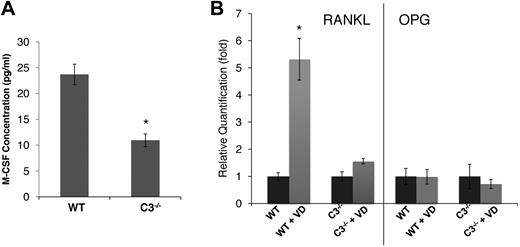 Figure 2. C3-deficient BM cells produce decreased amounts of M-CSF and failed to up-regulate RANKL during differentiation. (A) M-CSF levels were measured by ELISA in WT and C3−/− BM cell-conditioned media during differentiation. (B) RANKL/OPG expression levels were quantified by qRT-PCR in WT and C3−/− BM cells after 1,25(OH)2 vitamin D3 (VD) stimulation. Results are representative from 2 independent experiments performed in triplicates. Data are mean ± SD: *P < .05.