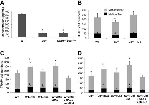 Figure 6. Complement regulated IL-6 expression is involved in OC differentiation. (A) Quantification of IL-6 levels in supernatants cultured with WT, C3−/−, and C3aR−/−C5aR−/− BM cells during differentiation. BM cells (2 × 106) were cultured in differentiation media in each well of a 24-well plate together with 1 × 10−8M 1,25(OH)2 vitamin, and IL-6 levels were measured in supernatants on day 12. (B) Supplementing IL-6 into C3−/− BM cell cultures restored their OC differentiation capabilities. (C) Exogenous C3a/C5a augmented OC differentiation from WT BM cells, while neutralization of IL-6 abolished the stimulating effect. (D) Exogenous C3a/C5a augmented OC differentiation from C3−/− BM cells, while neutralization of IL-6 abolished the stimulating effect. Results are representative from 2 independent experiments performed in triplicate. Data are mean ± SD: *P < .05, #P < .05.