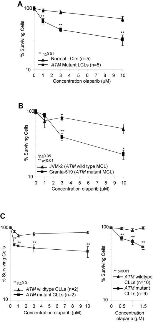 Figure 1. ATM mutant lymphoid cells are sensitive to olaparib. Effect of increasing doses of olaparib after 7 days exposure on the percentage of surviving cells (logarithmic scale) in ATM null and ATM wild-type LCLs (A), MCL cell lines (B), and proliferating primary CLL cells (C) over a broad range of doses (left) and at lower doses in an expanded cohort (right).