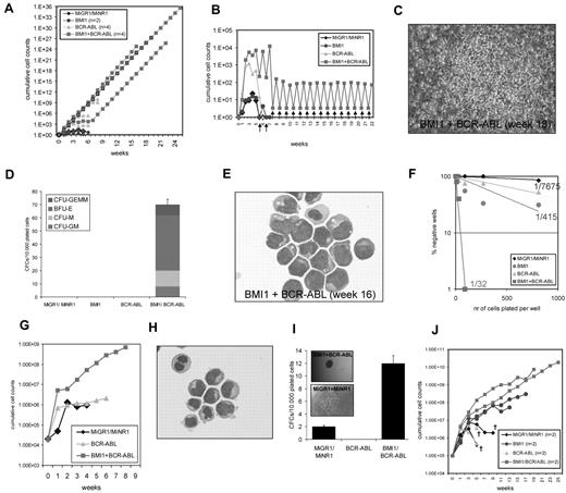 Figure 2. Coexpression of BCR-ABL and BMI1 in human CD34+ cells promotes long-term stem cell self-renewal and myeloid and lymphoid expansion in vitro. (A) BMI1/BCR-ABL coexpression results in the immortalization of human CB CD34+ cells on MS5 stroma under myeloid conditions. The difference in proliferative capacity between the groups is shown. (B) A detailed representation of the experiment in panel A is shown. After 5 weeks, both suspension and adherent human CD45+ cells were harvested from the cultures, and the cells were seeded onto new stroma to evaluate their replating capacity. Arrows indicate time points when replating was performed. (C) An example of week 18 phase-dark CAFCs that could be harvested and replated to initiate new expanding cocultures. (D) The number of hematopoietic progenitors was evaluated in CFC assays in methylcellulose. A representative experiment is shown, where transduced CB CD34+ cells were analyzed after 9 weeks of expansion on MS5 BM stroma. (E) Cytospin preparations of suspension cells from cocultures described in (A) at week 16, indicating the presence of blast-like, as well as erythroid and myeloid precursor, cells. (F) Stem cell frequencies were determined in LTC-IC assays using freshly transduced CB CD34+ cells. (G) Long-term expansion of the transduced cells under lymphoid culture conditions. (H) Representative cytospin at week 8 from double-transduced cultures. (I) Clonogenic assays in methylcellulose were performed to evaluate the capacity to form progenitor colonies in the presence of IL-7. Microscopic images of the colonies are shown as the insets in the graph. (J) Immediately after transduction, the cells were plated in stroma-free liquid cultures in the presence of IL-3 and SCF. Long-term expanding BMI1/BCR-ABL cultures could be maintained for more than 23 weeks.