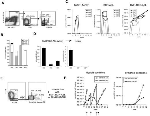 Figure 3. Coexpression of BCR-ABL and BMI1 results in long-term expansion and self-renewal of HSCs, but not CMPs, GMPs, or MEPs. (A) Sorting strategies of the transduced cells on the basis of combinatorial expression of cell-surface markers. Four different populations of cells were sorted from each group, as indicated. (B) CFC assay from the MiGR1/MiNR1 group revealed high purity of the sorted populations. (C) HSCs, CMPs, GMPs, and MEPs from all the groups were grown on MS5 stroma to evaluate their proliferative capacity. Maximal expansion was observed in cultures initiated with HSCs, and moreover, only the BMI1/BCR-ABL HSCs could be maintained over the long term. (D) Cells were plated weekly in methylcellulose, and colonies were scored on the basis of their morphology; a representative example at week 4 is shown. The HSC fraction yielded the highest progenitor frequencies, and only this fraction contained self-renewal properties, as determined by secondary replating assays. (E) Sorting scheme for Lin− HSCs that were used in transduction experiments. (F) Transduced Lin− HSCs were cultured on MS5 BM stromal cells under myeloid or lymphoid conditions. Arrows indicate time of replating.