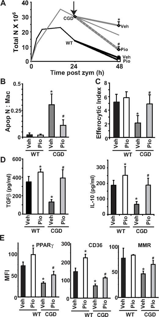 Figure 7. Resolution of neutrophilia and macrophage reprogramming are enhanced by pioglitazone even when administered after onset of inflammation in CGD. Twenty-four hours after zymosan injection, mice were treated by oral gavage with a single dose of either vehicle or pioglitazone. At 48 hours after zymosan, peritonea were lavaged, and cells were analyzed as before. The course of neutrophilia is shown in panel A: solid lines represent time course of zymosan-induced peritoneal neutrophilia without treatment derived from data shown in Figure 3A; arrow shows the time at which pioglitazone or vehicle was administered; dashed lines show changes in neutrophilia following treatment. Accumulation of apoptotic neutrophils (B) and efferocytosis by macrophages (C) in peritonea at 48 hours are shown. (D) Cytokines were measured in lavage supernatants by enzyme-linked immunosorbent assay. (E) F4/80 positive macrophages were analyzed for PPARγ, CD36, and MMR by flow cytometric analysis as in Figure 1. Data represent mean ± SE; N = 8 mice per treatment group. #P ≤ .02 compared with vehicle-treated CGD mice, and *P ≤ .01 compared with vehicle-treated WT mice.