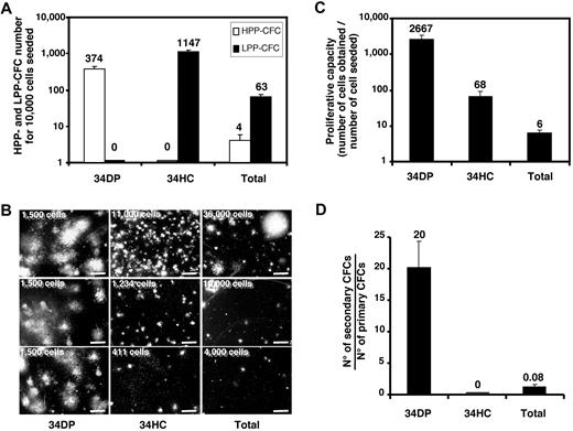 Figure 2. Proliferative potential of CFCs in 34DP, 34HC, and total EL cell fractions. 34DP, 34HC, and total EL cells were plated in methylcellulose medium. After 14 days of culture, hematopoietic colonies were scored either as HPP-CFC or as LPP-CFC. (A) HPP-CFC and LPP-CFC number normalized to 1.104 cells for each cell population. (B) Typical HPP-CFUs and LPP-CFUs from each cell population (scale bar, 2 mm). The number of cells seeded in methylcellulose is indicated on the left top of each picture. (C) Cell number fold increase for each cell population. (D) Number of secondary CFCs from primary CFCs for each cell population. Each histogram represents the mean value of triplicates with standard deviation in one representative experiment from 3 independent experiments. ELs (7.0-8.4 weeks old) were used for this study.
