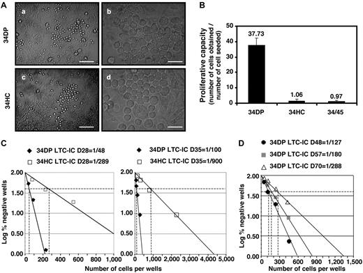 Figure 3. Long-term hematopoietic potential of 34DP, 34HC, and 34/45 EL cell fractions. 34DP, 34HC, and 34/45 EL cells were grown on MS-5 stromal cells in bulk (A-B) or in limiting dilution conditions (C-D). (A) Typical colonies of round, stroma-adherent HCs (a,c; Scale bar, 30 μm) and of cobblestone-like colonies underneath the stroma (b,d; Scale bar, 10 μm) obtained after 21 days of culture on MS-5 for 34DP (a,b) and 34HC (c,d) cell populations. (B) Cell number fold increase for 34DP, 34HC, and 34/45 cell populations after 40 days of culture on MS-5. Each histogram represents the mean value ± standard deviation of 3 independent experiments performed on 7.0- to 8.4-week-old EL cells. (C) LTC-IC frequency of both 34HC and 34 DP cell populations at day 28 and 35 of culture on MS-5. (D) LTC-IC frequency of the 34 DP cell populations at day 48, 57, and 70 of culture on MS-5. Data shown are representative of 3 independent experiments performed on 7.0- to 8.4-week-old EL cells. D indicates day.