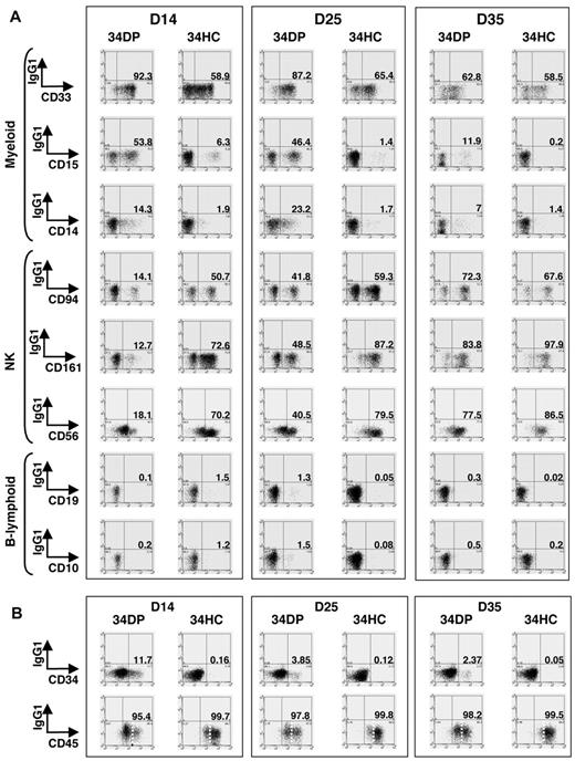 Figure 4. Kinetics of CD34+ HPs, CD45high mature HCs, myeloid, NK, and B-lymphoid cells in long-term culture of human EL 34DP cells compared with 34HCs. 34DP and 34HC EL cells were grown on MS-5 stromal cells. After 14, 25, and 35 days, the whole content of cultures was harvested and stained with antibodies to human lineage-specific markers (A) and human CD34, CD45 (B). (A) Lineage-specific stainings of HCs obtained after 14, 25, and 35 days of culture on MS-5. 34DP cells and 34HCs produce CD33+, CD15+, CD14+ myeloid, CD94+, CD161+, CD56+ NK, and CD19+, CD10+ B-lymphoid cells. 34DP cells produce the same progeny as 34HCs but with delayed and prolonged kinetics. Data are representative of 3 independent experiments performed on 7.0- to 8.4-week-old EL cells. D, day. (B) CD34 and CD45 stainings of HCs obtained after 14, 25, and 35 days of culture on MS-5. The loss of CD34+ progenitors and the production of CD45high cells are delayed in cultures initiated with 34DP cells compared with cultures initiated with 34HCs. Markers are shown on the x-axis. Numbers indicate percentages of positive cells for each marker. Dotted lines discriminate between CD45low and CD45high cells. Data are representative of 3 independent experiments performed on 7.0- to 8.4-week-old EL cells. D indicates day.