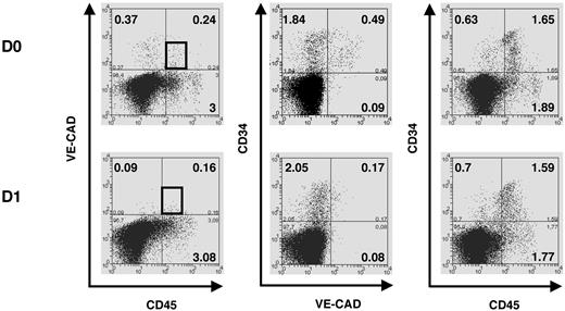 Figure 5. Rapid loss of VE-cadherin in EL DP cells after in vitro culture on MS-5 stroma. Flow cytometric analysis of total liver cells triple stained with anti-CD45-fluorescein isothiocyanate, anti-CD34-allophycocyanin, and anti-VE-cadherin-phycoerythrin mAbs shows that as soon as 24 hours of culture on MS-5 stroma, almost no VE-cadherin+ cells are detected anymore in the DP VECAD+CD45+ cell fraction. The black gate delimitates the DP VECAD+CD45+ cell fraction. Numbers indicate percentages of positive cells in the corresponding quadrants. Data are representative of 3 independent experiments performed on 7.0- to 8.4-week-old EL cells. D indicates day.