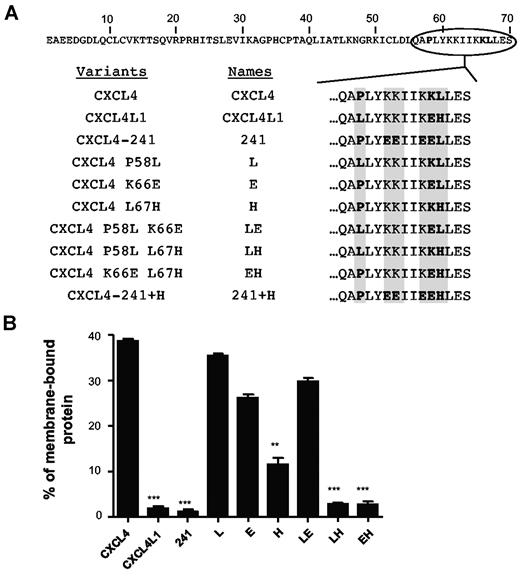 Figure 5. Histidine 67 is critical for the membrane binding of CXCL4L1. (A) Schematic representation of the amino acide sequences of CXCL4, CXCL4L1, or mutants. (B) In cellulo binding properties of CXCL4, CXCL4L1 and mutants to cell membranes. HEK293T cells were transfected with plasmids expressing CXCL4, CXCL4L1, or mutants. The amount of proteins associated with the membrane was determined using the human CXCL4-ELISA, which detects CXCL4, CXCL4L1, and all variants.