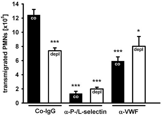Figure 2. Platelets are required for the VWF effect on PMN recruitment. Mice were treated with an isotype control (black bars) or with a platelet-depleting antibody (white bars). After 24 hours, control rabbit IgG (Co-IgG), anti-P- and L-selectin antibodies, or rabbit anti-VWF antibodies were injected, and peritonitis was induced 15 minutes later with thioglycollate. Transmigrated PMNs were counted after 2 hours. For determination of statistical significance, data were compared with nondepleted Co-IgG-treated mice. Error bars show SEM (groups of 4 or more). Comparable results were achieved in 2 independent experiments. ***P ≤ .001; *P ≤ .05.