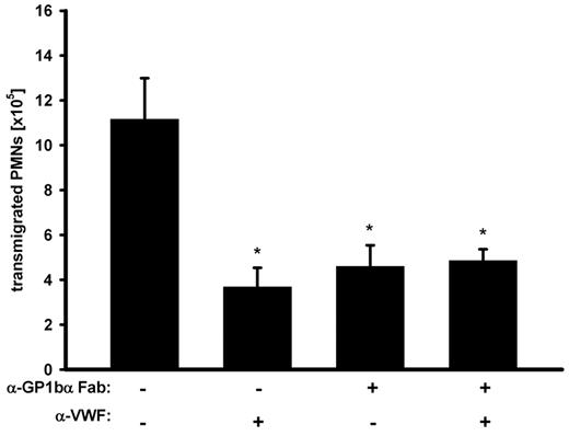 Figure 4. GPIbα is required for the VWF effect on PMN recruitment. Mice were treated with adhesion-blocking anti-GPIbα Fab-fragments, anti-VWF antibodies, or a combination of both before peritonitis was induced with thioglycollate. After 2 hours, PMNs were collected and counted. The experiment was repeated 3 times with n ≥ 3 mice per group, giving similar results. Error bars show SEM. *P ≤ .05.