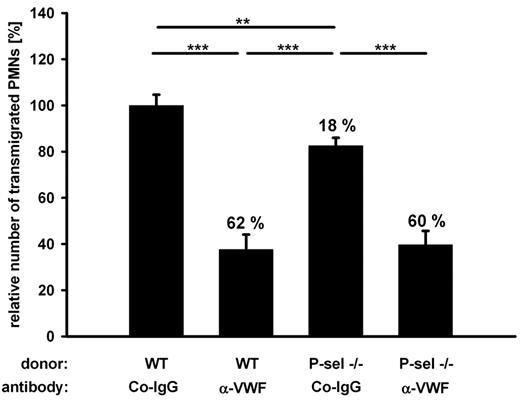 Figure 5. Platelet P-selectin plays a minor part in VWF-mediated PMN recruitment. Mice were lethally irradiated and reconstituted either with wt or P-selectin−/− donor bone marrow. Animals were treated with control antibodies (Co-IgG) or anti-VWF antibodies before peritonitis was induced with thioglycollate. Normalized results of 3 independent assays are shown (number of mice per group ≥ 11). Numbers indicate the percentage of reduction in comparison to wt transplanted, Co-IgG treated mice. Error bars show SEM. ***P ≤ .001; **P ≤ .01.