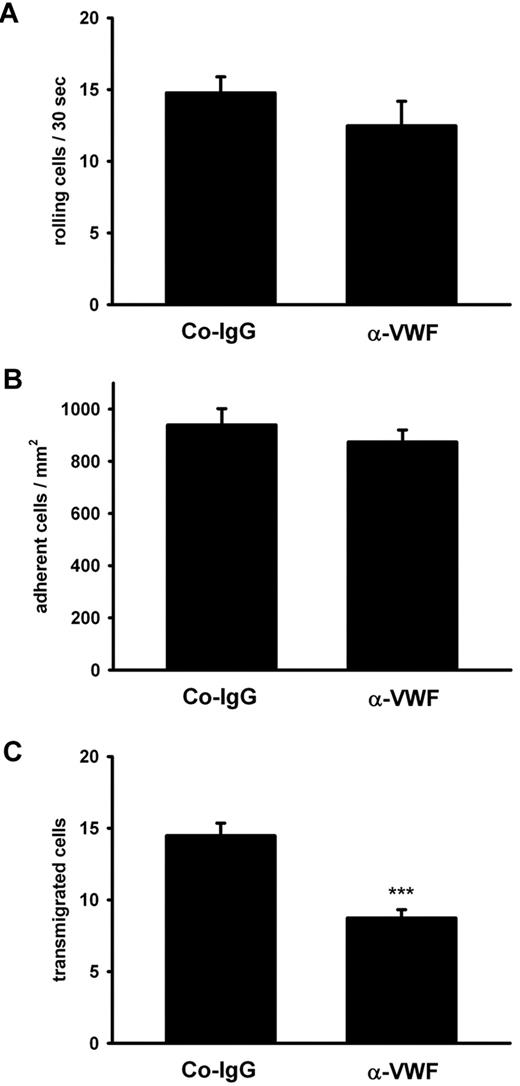 Figure 6. Antibodies against VWF inhibit PMN extravasation in the inflamed cremaster. The cremaster muscle of mice (4 mice per group) was prepared for intravital microscopy. Inflammation was induced by superfusion with keratinocyte-derived chemokine (KC), and the vessels (n ≥ 4 per mouse) were analyzed for rolling (A), adherent (B), and transmigrated (C) leukocytes. Error bars show SEM. ***P ≤ .001.