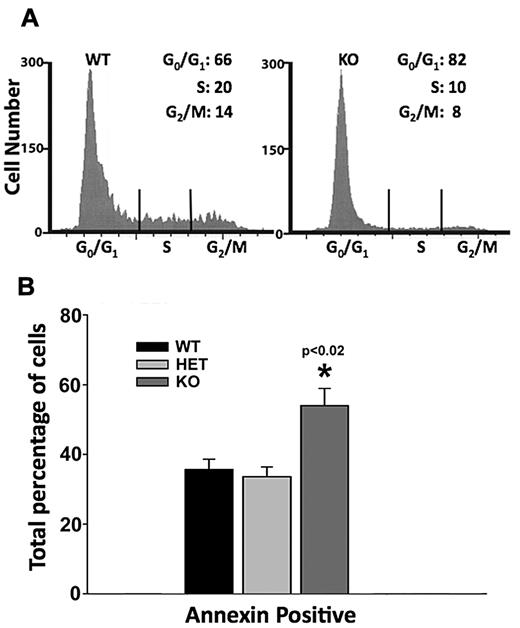 Figure 4. Defects in cell-cycle progression and increased apoptosis caused by Dot1L KO during erythropoiesis. (A) Representative histograms showing cell-cycle progression of cultured WT and KO yolk sac cells. Dissociated yolk sac cells of WT and Dot1L KO embryos were plated in methylcellulose growth medium, which supports erythroid lineage growth, and were cultured for 4 days. The cells were harvested, and cell cycle was analyzed by propidium iodide staining and flow cytometry. Differences in percentages of cells in all stages of the cell cycle were significantly different (P < .02, t test). (B) Analysis of apoptosis was examined in yolk sac cells cultured in erythropoietin-containing growth medium by annexin V staining and flow cytometry.