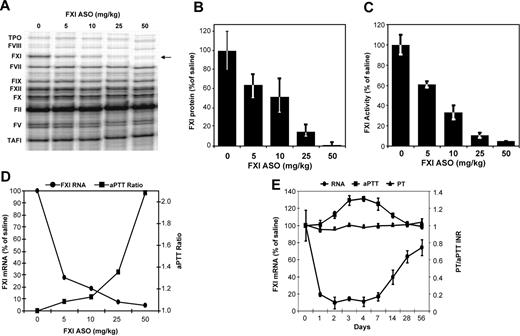 Figure 1. Effect of FXI ASO treatment on hepatic FXI mRNA levels, FXI enzymatic activity, and aPTT ratio in mice. FXI ASO activity was initially characterized in normal mice by measuring the effect of FXI ASO treatment on hepatic FXI mRNA levels and plasma FXI activity levels. Because FXI has a relatively long half-life (∼ 52 hours in human plasma), a multidose regimen with doses ranging from 5 to 50 mg/kg was initially used. Male BALB/c mice were treated subcutaneously with FXI ASO twice weekly for 3 weeks at indicated doses (n = 4 per dosing group). Three days after final dosing, we measured (A) hepatic mRNA levels of FXI as well as nontargeted coagulation factors by RPA, (B) FXI plasma protein levels, (C) FXI enzymatic activity levels, and (D-E) aPTT and PT ratios. Onset and duration of hepatic FXI mRNA reduction and corresponding anticoagulation in mice in response to a single injection of FXI ASO (50 mg/kg). *P ≤ .05 compared with untreated control.