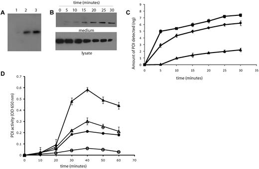 Figure 1. Agonist-induced PDI secretion from HUVECs. PDI secretion from HUVECs into serum-free cell culture medium after overnight culture of resting or activated cells was detected by sodium dodecyl sulfate–electrophoresis of the medium followed by immunoblotting with anti-PDI antibodies. (A) PDI in culture medium (50 μL from confluent monolayer ∼ 1 × 106 cells) detected with the monoclonal anti-PDI antibody, RL90, at 1 μg/mL. Lane 1, conditioned media from resting HUVECs; lane 2, conditioned medium from HUVECs activated with 1 U/mL thrombin; lane 3, conditioned medium from HUVECs activated with 10μM A23187 calcium ionophore. (B) Immunoblot showing PDI secretion after thrombin stimulation from 5 × 106 HUVECs over a period of 30 minutes. Top panel, medium from thrombin-activated HUVECs. Bottom panel, cell lysates from the corresponding activated cells. (C) Time course study of PDI release from 5 × 106 HUVECs after stimulation with (■) 100 ng/mL PMA, (♦) 1 U/mL thrombin, or (▴) 0.1mM histamine. (D) PDI activity was measured by the insulin transhydrogenase assay in the conditioned media from 5 × 106 thrombin-activated HUVECs (mean of 3 experiments) in the presence (unfilled) or absence (filled) of 5 μg/mL monoclonal inhibitory antibody RL90. Circles, PDI activity secreted from cultured HUVECs; triangles, activity of recombinant human PDI (1 μg/mL).