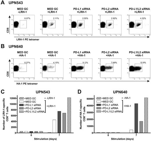 Figure 5. MiHA-specific CD8+ effector T-cell expansion can be enhanced by PD-L–silenced DCs. Two days after electroporation with PD-L1 and/or PD-L2 siRNA, mature HLA-B7+LRH-1− or HLA-A2+HA-1− DCs were loaded with or without 5μM MiHA peptide. PD-L knockdown resulted in < 17% PD-L1+ and/or < 5% PD-L2+ DCs. Patient PBMCs, containing MiHA-specific CD8+ effector T cells, stimulated with PD-L knockdown DCs at a ratio of 1:0.1, were screened after 1 week for tetramer+ CD8+ T cells using flow cytometry. The numbers in the FACS plots represent the percentage of (A) LRH-1– (UPN543) or (B) HA-1–specific (UPN640) CD8+ T cells in the total CD3+CD8+ T-cell population. Total numbers of LRH-1– (C) or HA-1–specific (D) CD8+ T cells obtained after 1 week of stimulation with PD-L knockdown DCs loaded with or without MiHA peptide.