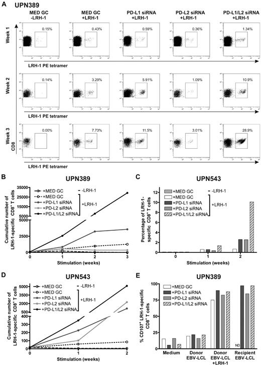 Figure 6. PD-L knockdown DCs boost the proliferative capacity and function of MiHA-specific CD8+ memory T cells. Two days after electroporation with PD-L1 and/or PD-L2 siRNA, mature HLA-B7+LRH-1− DCs were loaded with or without 5μM LRH-1 peptide. PD-L knockdown resulted in < 5% PD-L1+ and/or < 2% PD-L2+ DCs. (A) PBMCs of patient UPN389, consecutively stimulated with PD-L knockdown DCs at a ratio of 1:0.1, were weekly screened for tetramer+ CD8+ T cells using flow cytometry. The numbers in the FACS plots represent the percentage of LRH-1–specific CD8+ T cells in the total CD3+CD8+ T-cell population. Data are representative for 2 independent experiments. (B) Cumulative numbers of LRH-1–specific CD8+ T cells of patient UPN389 obtained after 3 consecutive stimulations with PD-L knockdown DCs loaded with or without LRH-1 peptide. (C) Percentage of LRH-1–specific CD8+ T cells in PBMCs of patient UPN543. PBMCs were consecutively stimulated with PD-L knockdown DCs at a ratio of 1:0.1 and weekly screened for tetramer+ CD8+ T cells using flow cytometry. (D) Cumulative numbers of LRH-1–specific CD8+ T cells of patient UPN543 obtained after 2 consecutive stimulations with PD-L knockdown DCs loaded with or without LRH-1 peptide. (E) Degranulation of LRH-1–specific CD8+ T cells of patient UPN389, stimulated for 2 weeks with LRH-1 peptide-loaded PD-L knockdown DC, was measured by staining for CD107a during overnight stimulation with different target cells. PBMCs were cultured 1:1 with LRH-1− donor EBV-LCL, LRH-1 peptide-loaded donor EBV-LCL, LRH-1+ recipient EBV-LCL, or in medium. ND indicates not determined.