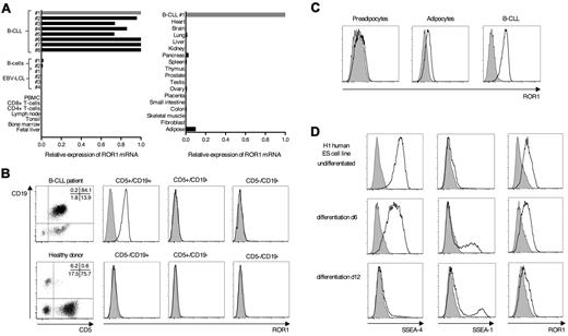 Figure 1. ROR1 is uniformly expressed in B-CLL and shows expression in human ES cells. (A) ROR1 mRNA expression in B-CLL cells, normal primary and EBV-transformed B cells and a panel of normal hematopoietic and nonhematopoietic tissues was analyzed by qPCR. One B-CLL sample (B-CLL #1) was used as a reference (expression = 1), and the relative expression of ROR1 was compared with GAPDH as housekeeping gene. (B) Analysis of ROR1-protein expression on the cell surface of PBMCs obtained from B-CLL patients and normal donors using specific polyclonal antibodies (solid black line) compared with isotype controls (gray histogram). Data are representative for 10 B-CLL patients and 4 normal donors. (C) ROR1 expression on mature adipocytes that were generated in vitro by differentiation from human white preadipocytes, compared with B-CLL cells analyzed in the same experiment. (D) Expression of ROR1, SSEA-4, and SSEA-1 on the human ES cell line H1 before and after undirected in vitro differentiation for 6 and 12 days. Histograms show staining with specific monoclonal (SSEA-4/1) and polyclonal (ROR1) antibodies (solid black line) versus matched isotype control antibodies (gray histogram).