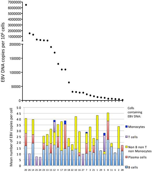 Figure 7. Correlation between the EBV DNA load in peripheral blood and the mean number of EBV DNA copies per cell for each cell subpopulation for each patient. Patient numbers are indicated at the bottom of the figure, and the vertical bars for each patient indicate the mean EBV DNA copy number per cell type.