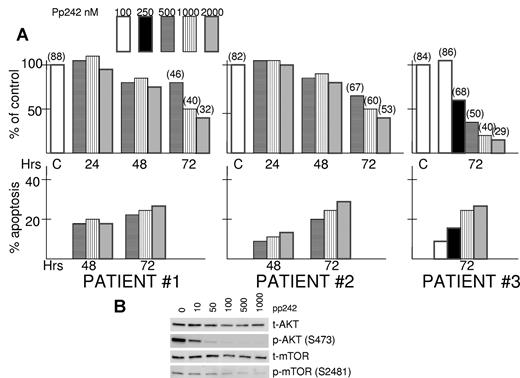 Figure 3. pp242 is effective against primary MM samples. (A) Isolated primary MM cells from 3 bone marrow aspirates were exposed to increased concentrations of pp242 for 24, 48, or 72 hours. Number of viable cells was then recorded. Data presented as percent of control (no inhibitor) where the control counts at 24, 48, or 72 hours were arbitrarily made 100%. At top of some bars is the percentage viability determined by trypan blue staining. For each primary specimen at several time points, percent apoptosis was also determined and the data represent percent apoptosis above control (no inhibitor). The latter control groups showed a mean percent apoptosis at 48 hours incubation of 28% and mean percent apoptosis at 72 hours of 39%. (B) One of the patient's cells were treated with increasing concentrations of pp242 for 2 hours after which immunoblot was performed for the designated proteins.