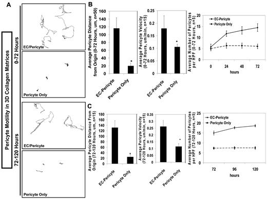 Figure 1. ECs are required to induce pericyte motility and proliferation in 3D collagen matrices during EC-pericyte tube coassembly. Nuclear GFP–labeled pericytes (nuc-pericytes) were incorporated into 3D collagen matrices in the presence or absence of ECs and allowed to undergo morphogenesis over a period of 120 hours. Real-time video analysis was performed to assess pericyte motility and proliferative rates over 0-72 hours or 72-120 hours. (A) Representative images of tracking analysis that were done with nuc-pericytes over 0-72 or 72-120 hours demonstrates the requirement of ECs to induce pericyte motility in 3D matrices. (B-C) From the tracking data generated in A, the average distance pericytes moved from their point of origin and the average pericyte velocity was measured for both 0-72 hours (B) or 72-120 hours (C). Both of these measures display impaired pericyte motility and decreased pericyte velocity over time. Furthermore, in the absence of ECs, the pericyte proliferative rate is reduced over both time periods, as quantified by the total number of pericytes per high-powered field over time (B-C). n ≥ 5; P ≤ .01.