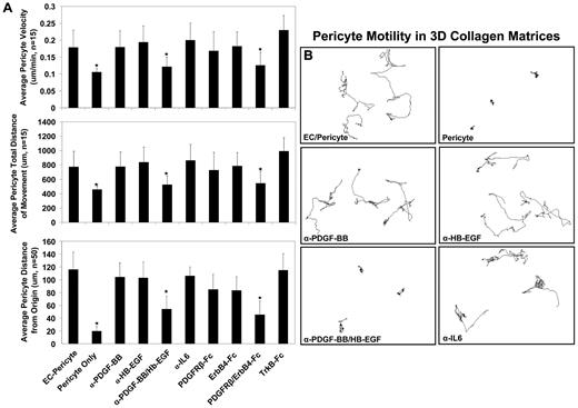 Figure 4. Blockade of PDGF-BB and HB-EGF, using neutralizing antibodies or soluble protein fragments, leads to abrogated EC-induced pericyte motility responses in 3D collagen matrices. Nuc-pericytes were allowed to coassemble with ECs either in the presence or absence of neutralizing antibodies to PDGF-BB and HB-EGF or soluble protein fragments to PDGFRβ and the HB-EGF receptor, ErbB4. Real-time video analysis was carried out to determine the effect of these molecules on pericyte motility. (A) The movement of nuc-pericytes was tracked, using MetaMorph software, with measures of pericyte average velocity, average total distance of movement, and average distance from the origin shown. As demonstrated, disruption of PDGF-BB and HB-EGF signaling in combination leads to blockade of each of the measurements made as markers of pericyte motility in the presence of ECs. (B) Representative images of the nuc-pericyte tracking analysis are shown to demonstrate the inability of pericytes to migrate under conditions of combined PDGF-BB and HB-EGF inhibition. n ≥ 5; P ≤ .01.