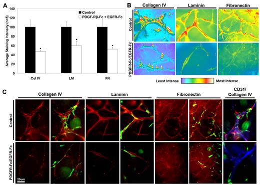 Figure 5. Blockade of pericyte recruitment to EC tubes leads to decreased basement membrane matrix deposition. EC/GFP-pericyte cocultures were established for 3 days and fixed for immunostaining analysis. Detergent-free immunostaining methods were used to assess the extracellular deposition of the key basement membrane components: collagen IV (Col IV), laminin (LM), and fibronectin (FN). (A) Quantification of immunostaining intensity is shown, demonstrating the decrease in basement membrane protein deposition under conditions of abrogated pericyte recruitment. (B) Intensity mapping of the representative images from panel C is shown to demonstrate the sites of highest basement membrane protein deposition, based on immunostaining patterns. (C) Representative images of the immunostained EC-pericyte cocultures are shown, with each of the basement membrane proteins in red and GFP-pericytes in green, under control versus PDGFRβ-Fc/EGFR-Fc–treated cultures. As shown by these images, there is decreased basement membrane protein deposition in cultures that have inhibited pericyte recruitment. The final column (CD31/Collagen IV) displays representative overlays of collagen IV (red), with the EC marker, CD31 (blue), and the corresponding pericytes (green) to show the relationship between the 3 structures. Bar equals 20 μm; n ≥ 5; P ≤ .01.
