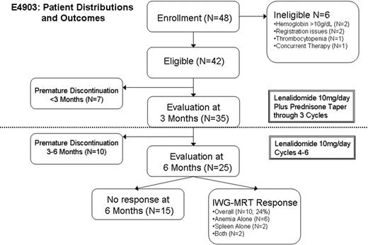 Figure 1. Patient distribution and outcomes on E4903 on the use of lenalidomide plus a prednisone taper in subjects with myelofibrosis. IWG-MRT spleen response8: > 50% reduction in palpable component below the left costal margin (for spleen > 10 cm at baseline), complete absence of palpable component if < 10 cm at baseline. IWG-MRT anemia response8: > 2 g/dL improvement in hemoglobin or becoming transfusion independent (if originally transfusion dependent).