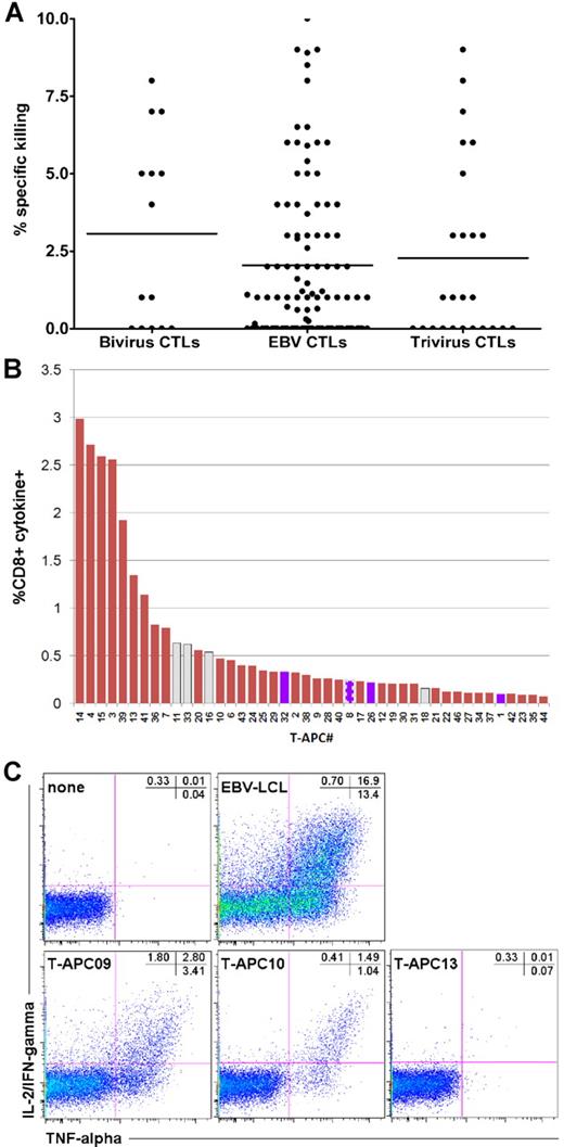 Figure 1. Alloreactivity of infused CTLs. Before infusing the donor CTLs, we characterized their cytotoxicity against phytohemagglutinin blasts obtained from the transplantation recipient in a standard chromium release assay.11 The release criterion was that cytotoxicity should be less than 10%. (A) Mean cytotoxicity was 2.07% for EBV CTLs, 2.24% for trivirus CTLs, and 3.07% for bivirus CTLs. Each symbol represents a cell line infused into a single subject. (B) The response of CD8+ T cells in CTL line C3183, to the panel of T-APCs. Only cells producing both IL-2/IFN-γ and TNF-α were scored positive, and the responses are ranked according to their frequency. CD8+ T cells responding to APCs that expressed an HLA class I allele shared with the recipient of this cell line are indicated as blue bars. Because allo-HLA reactive CD8+ T cells can recognize HLA class II-presented antigens, we have displayed their reactivities with T-APCs expressing a recipient-matching HLA class II mismatch as gray bars. One T-APC expressed both an HLA class I and II mismatch shared with the recipient of C3183; the response to this APC is represented as a blue bar with bold striped gray border. (C) The response of CTL line C2910 to autologous EBV-lymphoblastoid cell line (LCL) and 3 representative T-APCs, plus the negative control: CTL line without APCs.