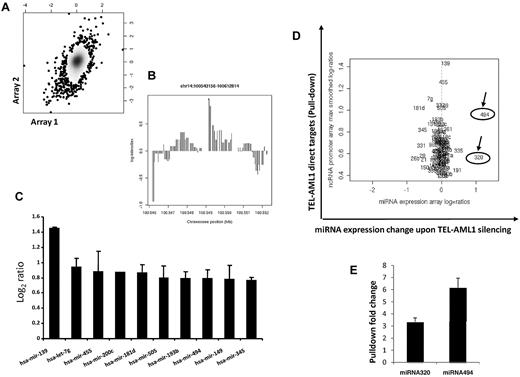 Figure 2. TEL-AML1 directly targets miRNA promoters. (A) ChIP-chip analysis was performed using the TEL-AML1 expressing cell line REH using an anti-TEL antibody. This cell line has a deletion in the other TEL allele, so only TEL-AML1 targets are pulled-down. Two independent experiments were performed, and anti-TEL-AML1 pull-downs and input DNA controls were cohybridized to the ncRNA tiling arrays. Following normalization and smoothing, the log2-ratios of TEL-AML1 pull-downs versus controls from experiment 1 were graphed against those from experiment 2 on an x/y graph, with density shading. A Pearson correlation coefficient of 0.27 (P < 10−7) between the 2 replicate experiments was observed as shown in this plot, also exemplified by a clustering of data along a slope of x = y (B) Scrutiny of the pull-down peaks revealed TEL-AML1 binding to miRNA regions, the strongest pull-down was detected for the miRNA-139 promoter. Lower but significant signals were found for 99 other miRNAs, shown here is the peak in a 5′ region of miRNA-494. (C) TEL-AML1 binds the promoters of miRNAs. The average log ratio of the binding intensity from 3 experiments was calculated and the 8 miRNAs promoters with the highest affinity to bind TEL-AML1 are shown, among these is miRNA-494. Standard errors are calculated from 3 separate experiments. (D) miRNA-494 and miRNA-320a are direct and functional targets of TEL-AML1. miRNA promoters identified to bind TEL-AML1 (direct targets, y axis; only those targets significantly enriched in ChIP pull downs are shown) were plotted against miRNA expression changes upon TEL-AML1 silencing. Log2 ratios are shown. (E) Using conventional PCR (supplemental Table 1) we analyzed TEL-AML1 pull-down and input from ChIP experiments. We designed primers to test the miRNA-494 and miRNA-320a that were shown to be direct targets of TEL-AML1 in the ChIP experiments. Panel E shows the fold increase of TEL-AML1 binding to the promoters of miRNA-494 and miRNA-320a as it was compared with the input (in triplicate with SE bars), thereby confirming these miRNAs as direct targets of TEL-AML1. The combined data from these experimental approaches distinguishes miRNA-494 and miRNA-320a both as direct and functional targets. miRNA-320a is indicated as miRNA-320 on the figures, as it is termed in the Sanger database.