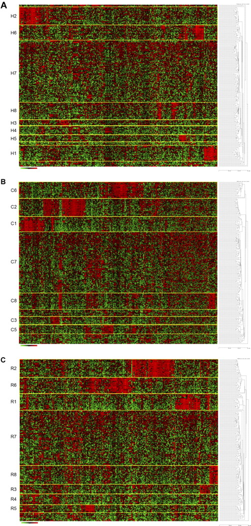 Figure 1. Hierarchical clustering identifies 8 cluster groups in high-risk ALL. Hierarchical clustering using 254 genes (provided in supplemental Table 7A) was used to identify clusters of patients with shared patterns of gene expression. Rows indicate 207 high-risk ALL patients from COG P9906; and columns, 254 probe sets. Shades of red represent expression levels higher than the median; and green, levels lower than the median. The cluster groups are numbered and prefixed by their method of probe set selection: H indicates high CV; C, COPA; and R, ROSE. (A) HC method for selection of probe sets. (B) COPA selection of probe sets. (C) ROSE selection of probe sets.