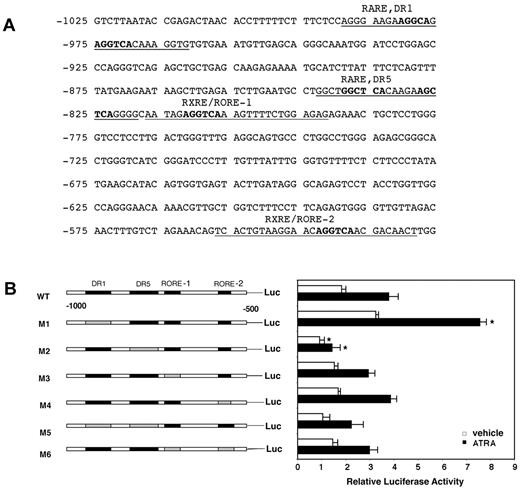 Figure 3. Identification of a positive and a negative RARE in the OLFM4 promoter. (A) The potential retinoic acid responsive elements (RAREs) and retinoid X responsive elements (RXREs) binding sites identified by Genomatix software in the proximal promoter of the OLFM4 gene are underlined. The bold characters represent nucleotides that were deleted. (B) OLFM4 promoter activity in HL-60 cells transfected with various promoter constructs and then treated with either vehicle or ATRA. Luciferase reporter activities of OLFM4 promoter with serial RARE or RXRE/RORE deletions were analyzed with a dual-reporter system. The black boxes represent RARE or RXRE/RORE binding sites. The gray boxes represent corresponding deleted sites. Values were normalized to Renilla luciferase internal controls. Data represent the mean ± SD of 3 independent experiments performed in triplicates. *P < .05, compared with corresponding wild-type (WT)–Luc control.