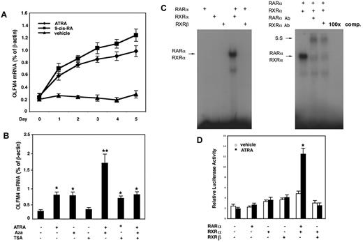 Figure 4. ATRA induces OLFM4 expression and transactivation of the OLFM4 promoter by RARα/RXRα heterodimer. (A) HL-60 cells were treated with ATRA (1μM), 9-cis-RA (1μM), or vehicle control for 5 days. Medium was replaced with new medium with freshly added RAs or vehicle every 48 hours. OLFM4 mRNA expression relative to β-actin expression was determined by qRT-PCR. (B) HL-60 cells were treated with ATRA (1μM), 5-aza-2′-deoxycytidine (Aza, 5μM), or trichostatin A (TSA, 1μM) alone or in combination for 2 days. OLFM4 mRNA expression relative to β-actin expression was determined by qRT-PCR. *P < .05, **P < .01, when compared with vehicle treatment. (C) Left panel: in vitro–transcribed and –translated RAR-α, RXR-α, or RXR-β protein alone or in combination was incubated with γ-32P-labeled RARE-DR5 probe of the OLFM4 promoter, then analyzed by electrophoretic mobility-shift assay. Right panel: the in vitro–transcribed and –translated RAR-α and RXR-α protein mixture was incubated with RARE-DR5 probe and subjected to electrophoretic mobility-shift assay. SS indicates supershift band. 100× comp, 100× cold-probe competitions. (D) COS-7 cells were cotransfected for 48 hours with the OLFM4 promoter, luciferase-reporter plasmid (OLFM4-Luc, −959), phRL-TK vector, and expression vectors expressing no cDNA (leftmost set of bars), RAR-α, RXR-α, RXR-β, or combinations of cDNA, as indicated. For the last 24 hours, the cells were treated with 1μM ATRA or vehicle control, then luciferase activities in cell extracts were determined. Values represent the OLFM4 promoter activity relative to TK activity (Renilla luciferase as internal control). Data represent the mean ± SD of 3 independent experiments performed in triplicate. *P < .05, compared with empty vector (no cDNA: leftmost set of bars).