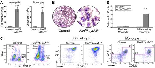 Figure 2. Flip deletion in myeloid linage results in leukocytosis. (A) Peripheral blood from Flipf/d, LysMc/+ mice (n = 56) and their littermate controls (mixed genotypes, n = 50) were examined for completely blood count, and neutrophils and monocytes are presented. ***P < .001 compared with the controls. (B) Representative blood smears from a Flipf/d, LysMc/+ mice and controls stained with Hema-3. Data are representative of smears from 3-4 mice for each group. (C) Representative flow cytometric analysis of circulating monocytes and neutrophils of Flipf/d, LysMc/+ and sex-matched littermate controls. Cells are gated by side scatter (SSC) and the expression of CD115, CD62L, and Gr1. (D) Absolute cell count of resident and inflammatory monocytes calculated from the total number of monocytes and the percentage of each subset using 5 Flipf/d, LysMc/+ and sex-matched littermate controls.