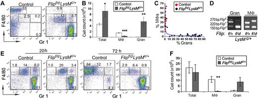 Figure 6. Flip deletion results in increased neutrophils and decreased macrophages in the peritoneum. Resident (A-B) or thioglycollate elicited (E-F) cells from peritoneal cavities were analyzed by flow cytometry, gaiting on CD11b+ cells. The macrophages (MΦ) were identified as F4/80+, Gr1−, whereas granulocytes (Gran) were identified as F4/80−, Gr1+. (B) The total number of cells, resident macrophages and granulocytes from controls (n = 20) and Flipf/d, LysMc/+ mice (n = 26) are summarized. (C) There was an inverse relationship between the percentage of peritoneal macrophages and granulocytes in the wild-type and Flipf/d, LysMc/+ mice. (D) PCR genotyping of granulocytes and macrophages isolated from peritoneal cavities were performed using the 3 PCR primers indicated in Figure 1. (F) The total number of thioglycollate elicited macrophages and granulocytes at 72 hours (n = 7 for each group) are summarized. *P < .05, **P < .01, and ***P < .001 between groups.